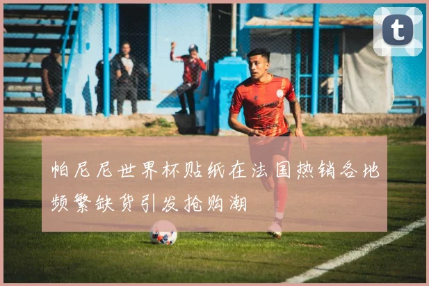 帕尼尼世界杯贴纸在法国热销各地频繁缺货引发抢购潮