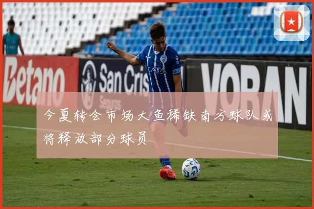今夏转会市场大鱼稀缺南方球队或将释放部分球员