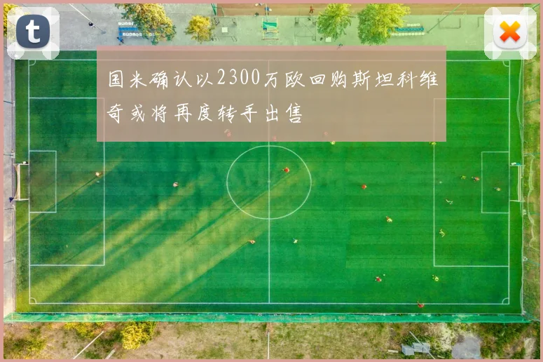 国米确认以2300万欧回购斯坦科维奇或将再度转手出售